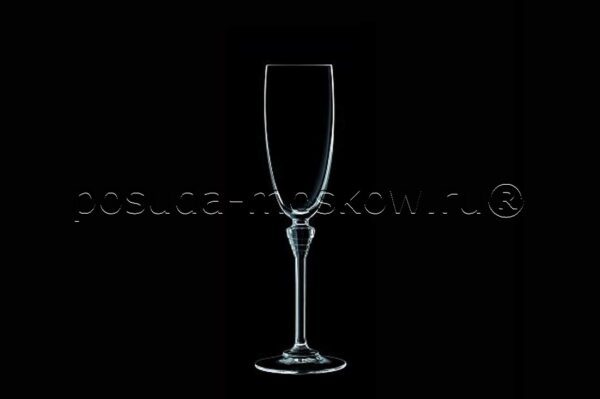 nabor bokalov dlja shampanskogo amarante cristal d arques