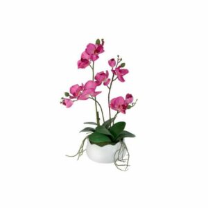 Декоративные цветы Дрим Гарден Орхидея бордо в керамической вазе