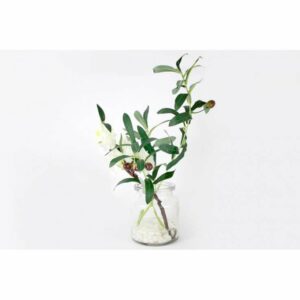 Декоративные цветы Дрим Гарден Сакура белая и ветвь оливы в вазе