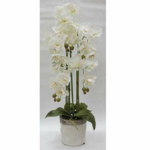 Декорцветы Дрим Гарден Орхидеи белые в керамической вазе