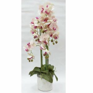 Декорцветы Дрим Гарден Орхидеи сврозовые в керамической вазе