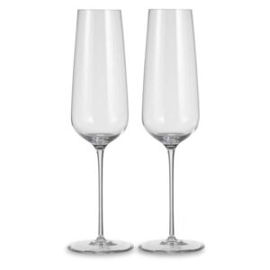 Набор бокалов для шампанского Nude Glass Невидимая ножка 300 мл Посуда Москва