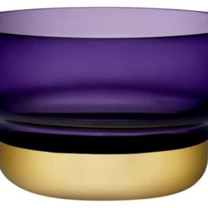 Чаша декоративная Nude Glass Контур 24 см фиолетовая с золотым дном