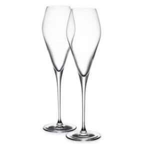 Набор бокалов для шампанского Nude Glass Фантазия 290 мл 2 шт